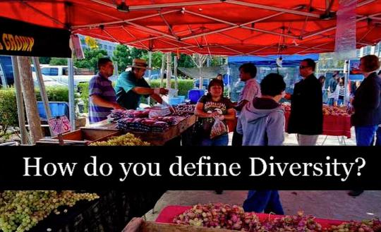 How do you define diversity?