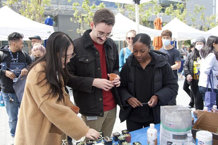 Three UCSF community members chose succulent plants to pot at an outdoor event. Other community members are in line and walking behind them, some with clinical face masks, chatting and observing event festivities.
