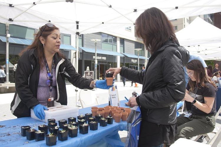 A UCSF Staff hands a small terracotta pot with a succulent plant to a participant during the 2023 Staff Resource Day. 