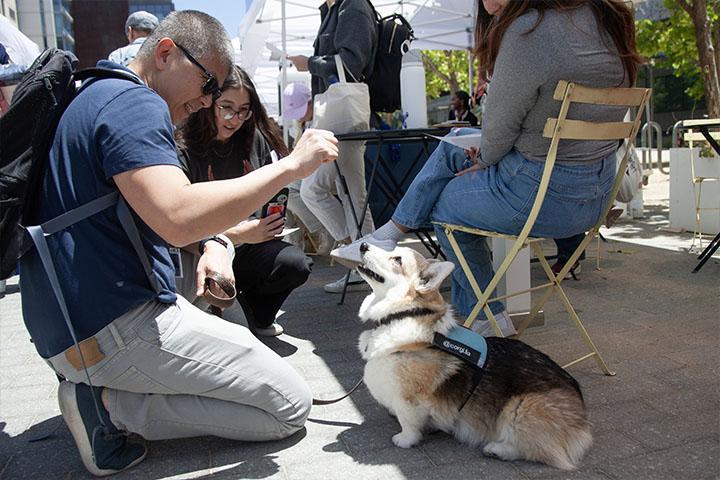 Two Staff Resource Day participants signaling and taking a photo of a Corgi dog during the 2024 SRD Fair at Mission Bay.